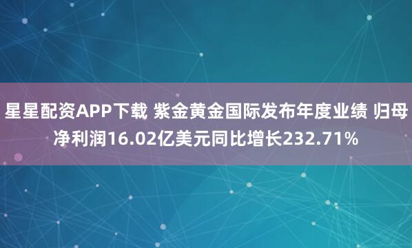 星星配资APP下载 紫金黄金国际发布年度业绩 归母净利润16.02亿美元同比增长232.71%